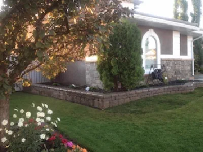 Landscape design with mulched beds and shrubs in Jacksonville FL