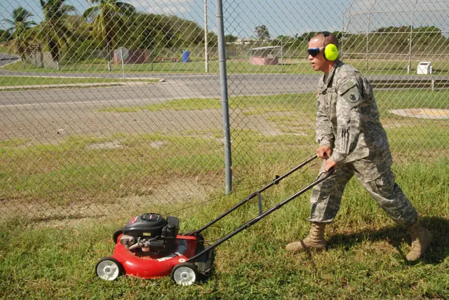 Freshly mowed lawn with stripes in Jacksonville Florida